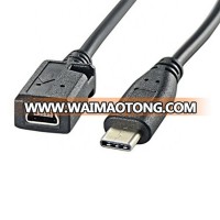 LBT 2018 New 1Ft USB Type C Charging Sync Data Cable, USB 3.1 Type C Male to Mini 5-Pin Type B (Mini B) Female Converter Cable